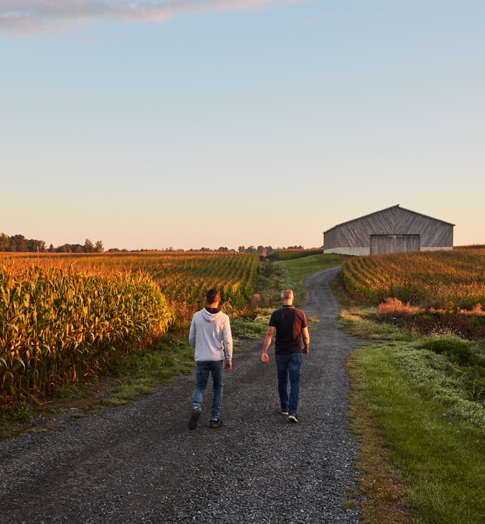 Two men walking on farm